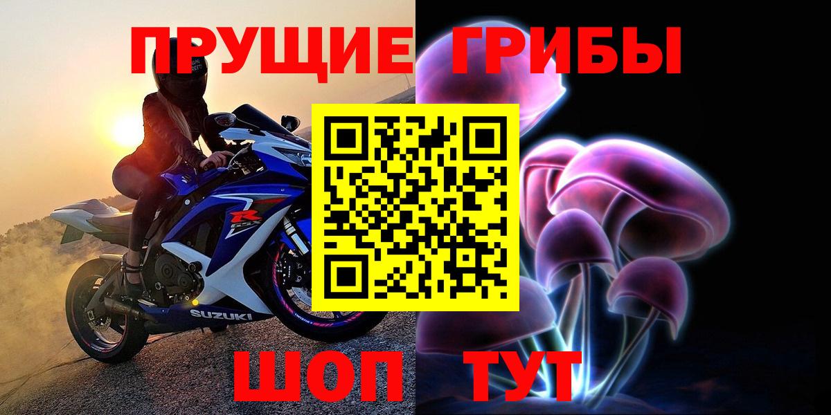 Псилоцибиновые грибы Psilocybine cubensis  Вход с VPN  Солнечногорск 