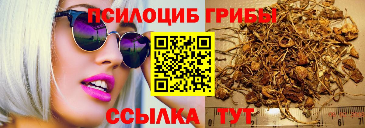 Галлюциногенные грибы мухоморы Солнечногорск